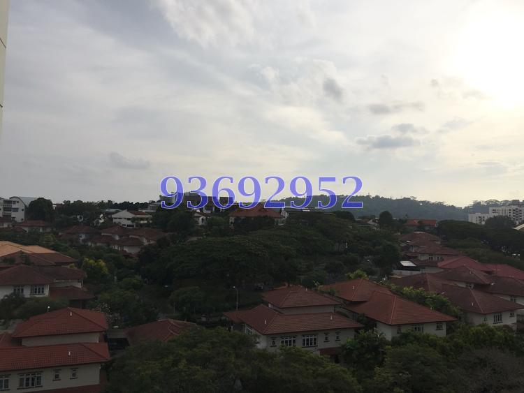 Blk 219 Petir Road (Bukit Panjang), HDB 3 Rooms #140310112